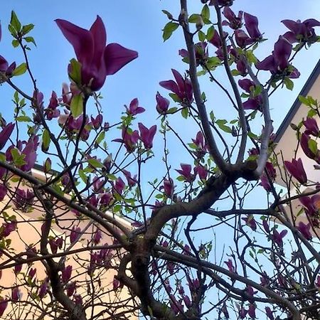 Casa Magnolia, Tranquilla E Centrale Lägenhet Nichelino Exteriör bild